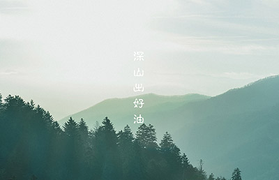 食用油品牌設(shè)計